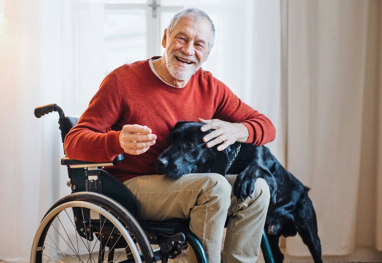 Old man in his wheelchair enjoying his holiday with his pet dog