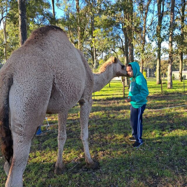 Our day program offers tailored activities which includes visiting the farm to interact with animals. Call us to find out more. #wishhealthanddisability #Unique #NDIS #support #care #disability #communityaccess #skilldevelopment #dayprogram